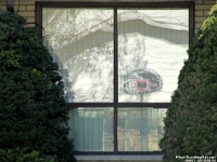 34421RoCrLe - Our basketball net in Mrs. T's window.JPG